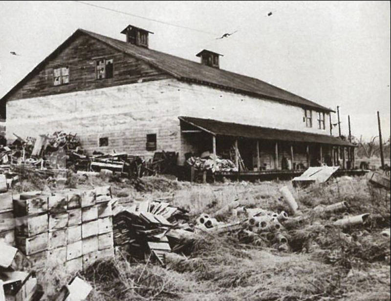 1951